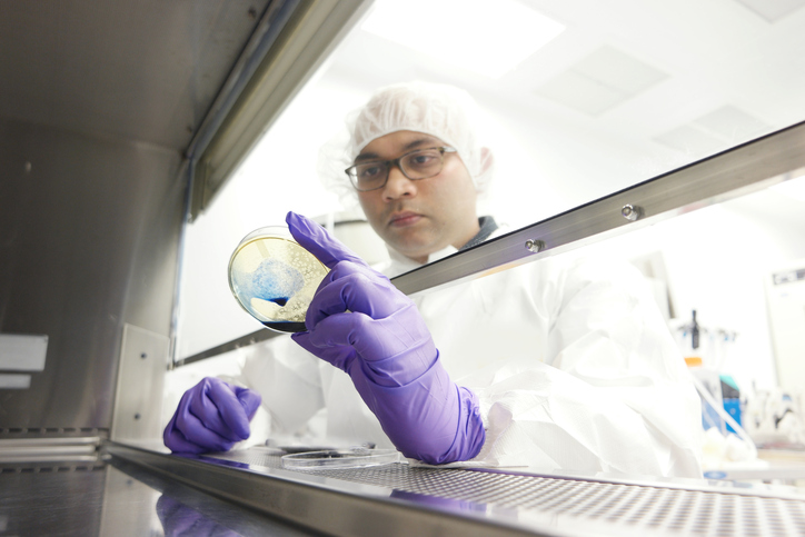 Research in a Biological Safety Cabinet