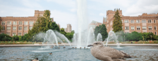 Drumheller fountain at UW Seattle campus