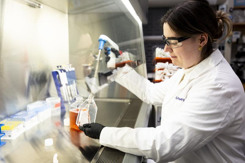 photo of a woman wearing PPE working inside a biosafety cabinet